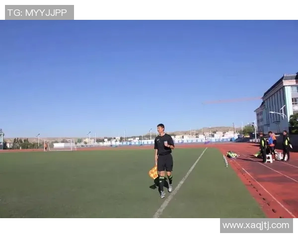 法国人热爱足球明星背后的文化现象与社会影响探讨